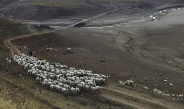 İklim değişikliğinin çarpıcı izleri objektiflere yansıdı