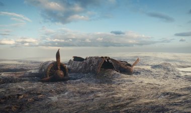 “Sular Çekilince” Yeni Bölümleriyle National Geographic’te