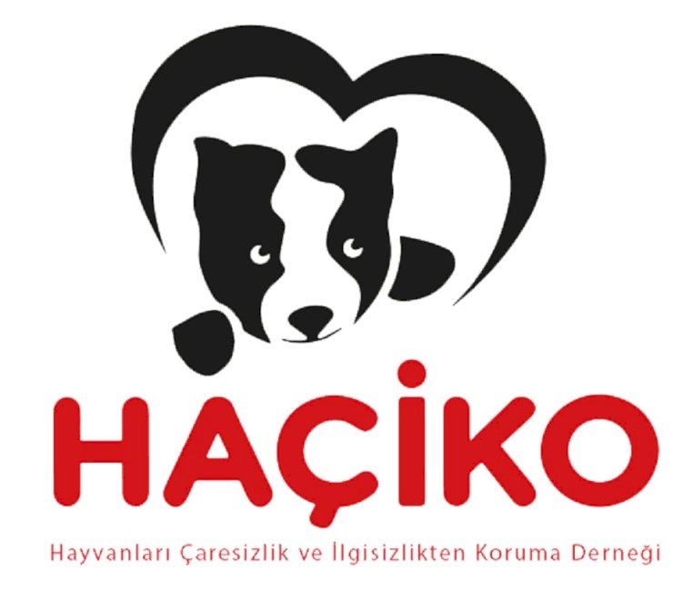 Hepsiburada ve HAÇİKO iş birliği Sokak hayvanlarına bağışların “hepsiyurekten”