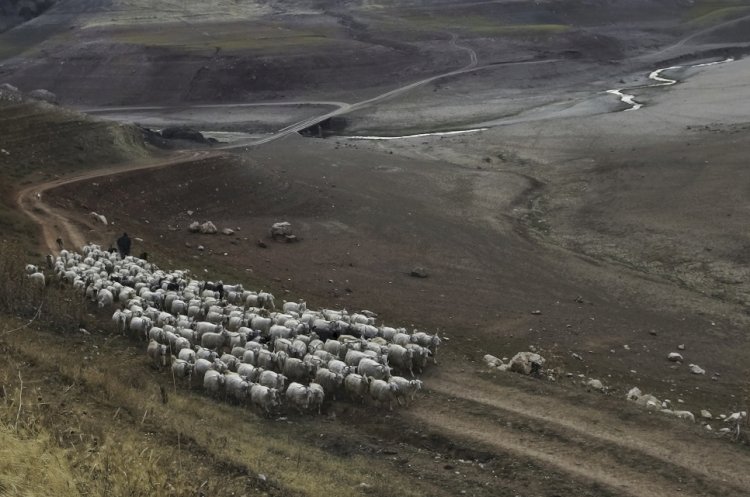 İklim değişikliğinin çarpıcı izleri objektiflere yansıdı