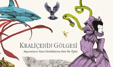 KRALİÇENİN GÖLGESİ
