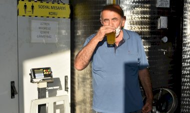 Edremit Körfezinde Zeytin  hasadı Başladı