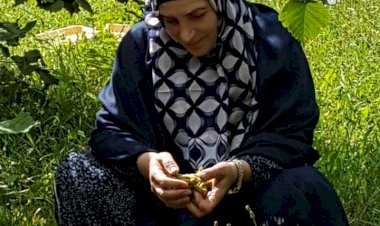 KURTAR BİZİ ALLAHIM
