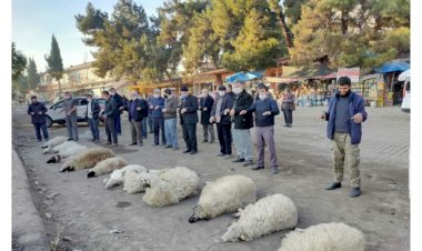 ÇİFTÇİLERİMİZİ ZOR GÜNLER BEKLİYOR.