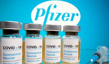 "Pfizer Hindistan'da da Aşı İçin Acil Kullanım Onayı Başvurusu Yaptı"