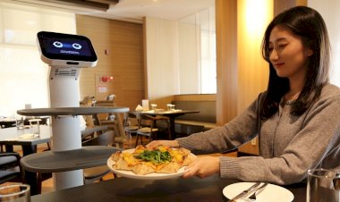 Fütüristik Robotlar Hayatı Kolaylaştırıyor