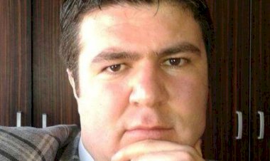 Kırlangıç Kuşu
