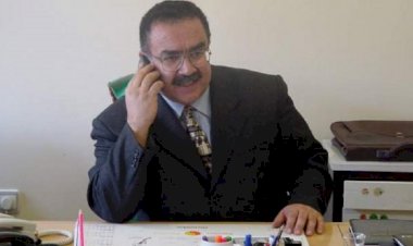 Ardıç Dalı