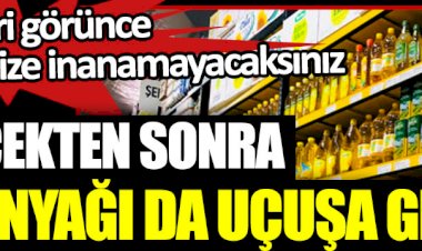 Ayçiçekten sonra Zeytinyağı da uçuşa geçti