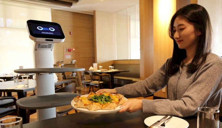 Fütüristik Robotlar Hayatı Kolaylaştırıyor