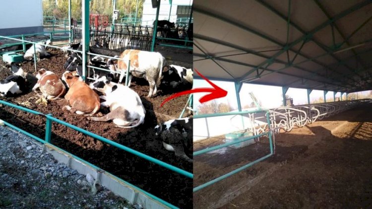 700 bin liralık borcu faizle 2,3 milyon liraya çıkan üretici: Bitmiş durumdayız