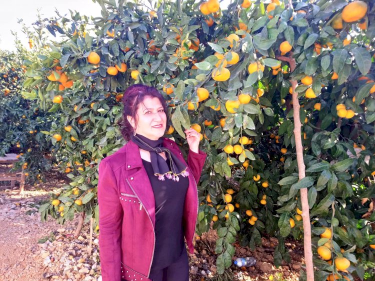 "CEHENNEM DE ODUN YOK Kİ "