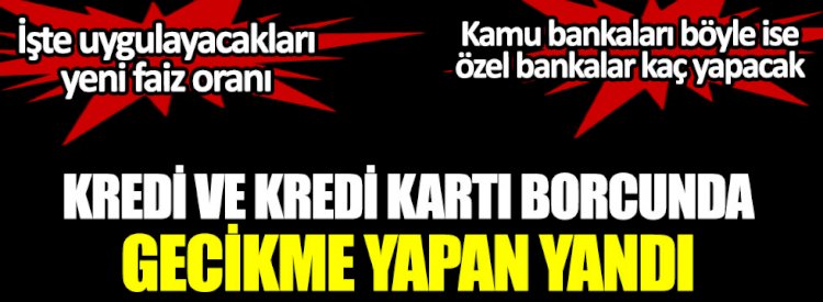 . Geciktirme faizi. Kamu bankaları gecikme faiz oranlarını müşterilerine böyle mesaj attı