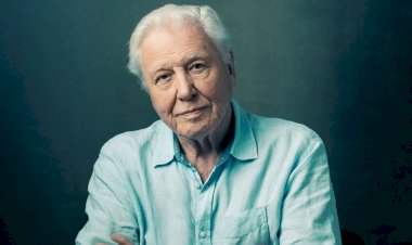 Sir David Attenborough Yeni Yıl Mesajıyla “Olağanüstü Zamanlarda” Dünyaya Umut Veriyor