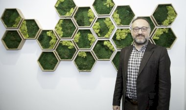 Evlerde Beslenen Kuşlar Alerjik Reaksiyona Neden Olabilir