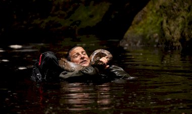Netflix, Animals on The Loose: A You vs Wild Movie'nin resmi fragmanını ve ilk karelerini payl