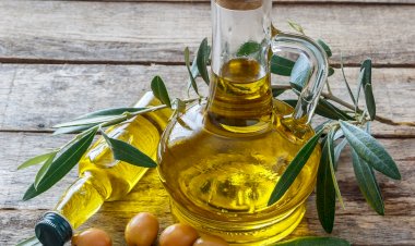 Yeni dünya, Türk zeytinyağının en büyük alıcısı oldu Zeytinyağı ihracatı yüzde 20 arttı