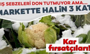 Kış sebzelerinde don fırsatçılığı