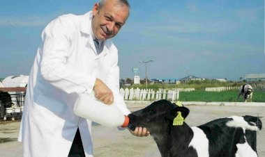 Sütaş yatırımı ile Bingöl’ün kişi başı GSYH sıralamasında 73. Sıradan, 38. Sıraya yükselmesi bekleniyor