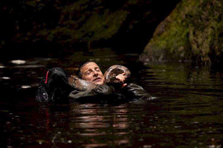 Netflix, Animals on The Loose: A You vs Wild Movie'nin resmi fragmanını ve ilk karelerini payl