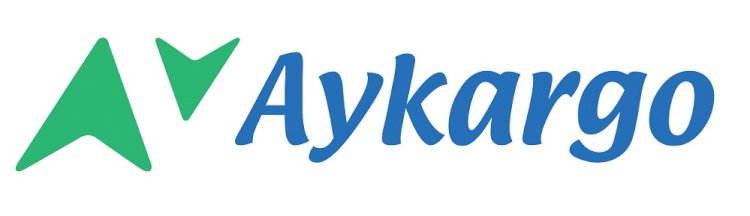 Aygaz ve McKinsey Aykargo ile Kargo Sektöründe