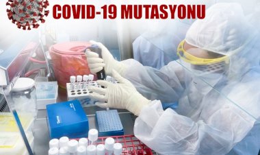KKTC’de Mutasyonlu Virüs Saptandı!