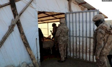 Diyarbakır’da Bir Yılda 55 Ton Esrar Ele Geçirildi