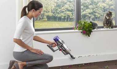 Dyson Mühendislerinden Evcil Hayvan Sahiplerine Temizlik İpuçları