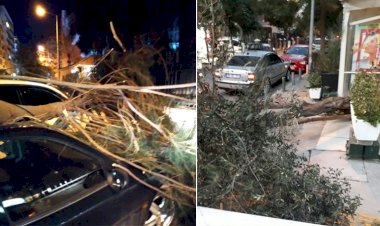 İzmir’de fırtına kabusu
