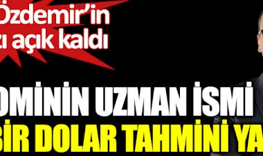 Ekonominin uzman ismi Evren Devrim Zelyut öyle bir dolar tahmini yaptı ki Remzi Özdemir'in bile ağzı açık kaldı