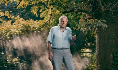 Sir David Attenborough’tan Bir Yok Oluş Hikayesi