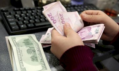2021'e değerlenerek giren TL'de son durum ne? Döviz neden yeniden yükseliyor?