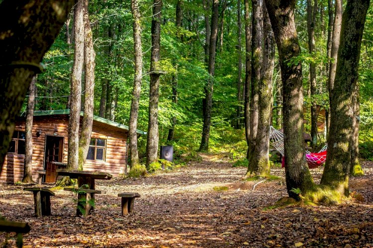 Tatilsepeti’nden en romantik rotalar