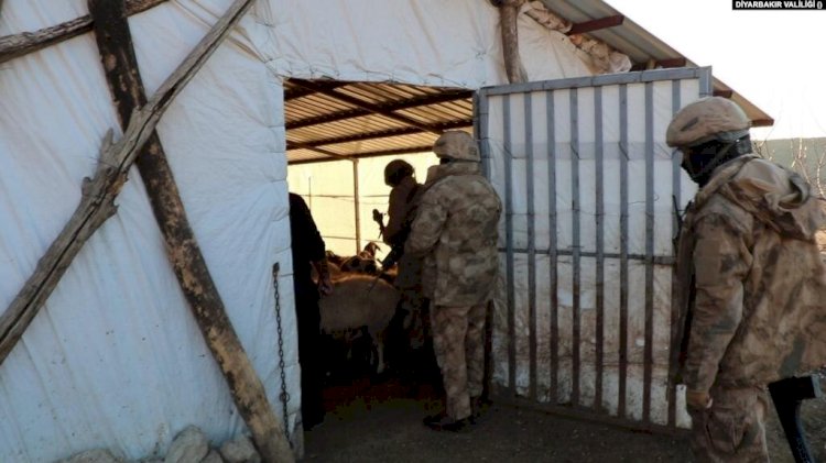 Diyarbakır’da Bir Yılda 55 Ton Esrar Ele Geçirildi
