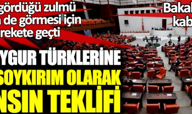 İYİ Parti dünyanın gördüğü zulmü TBMM'nin de görmesi için harekete geçti