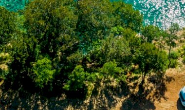 Europcar Yatırımda Hız Kesmiyor