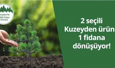 Kuzeyden 50 bin fidan ile 5 orman oluşturuyor