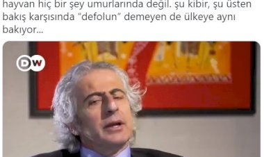 Gazeteci Mustafa Hoş'tan Kaz Dağları'nda altın çıkarmak isteyen şirketin Genel Müdür'ün sözlerine tepki