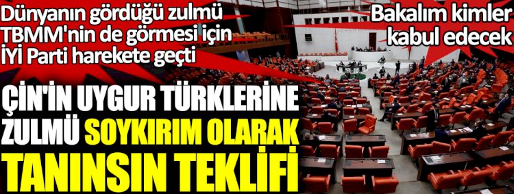 İYİ Parti dünyanın gördüğü zulmü TBMM'nin de görmesi için harekete geçti