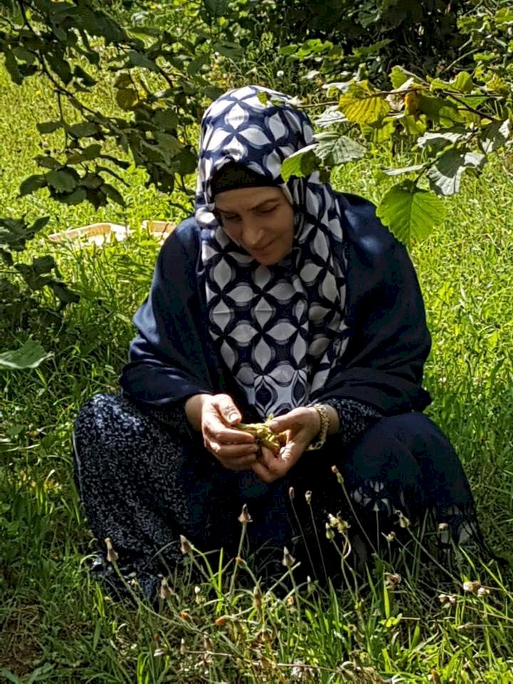 ALİ BİN EBÎ TÂLİB