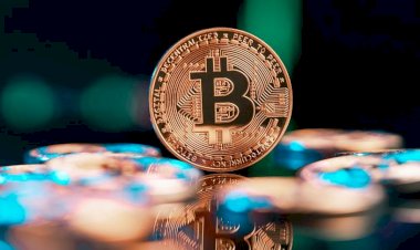 Vebitcoin faaliyetlerini durdurdu