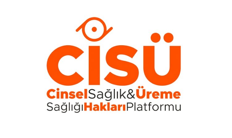 Türkiye’de önlenebilir nedenlere bağlı anne ölümleri oranı b