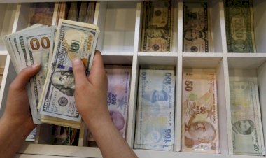 Dolar/TL kurundaki rekoru yabancı analistler yorumladı: 'Para politikası bağımsız olamadıkça olumsuz gidişat sürer'