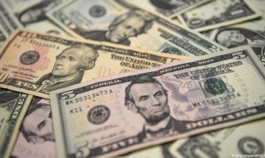 Dolar bir yılda yüzde 30, Euro yüzde 40 arttı