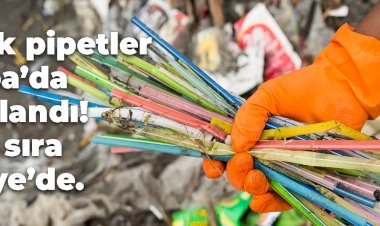 Plastik pipetler Avrupa Birliği üyesi ülkelerde yasaklandı