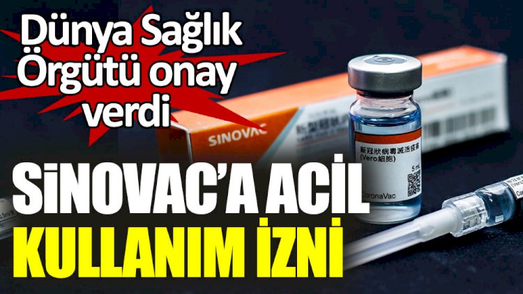 Sinovac'ın acil kullanımına DSÖ'den onay