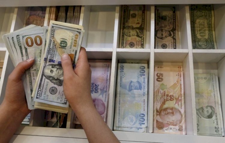 Dolar/TL kurundaki rekoru yabancı analistler yorumladı: 'Para politikası bağımsız olamadıkça olumsuz gidişat sürer'