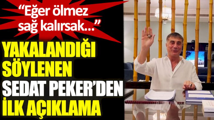 Yakalandığı söylenen Sedat Peker'den saatler sonra ilk açıklama: Eğer ölmez sağ kalırsak...