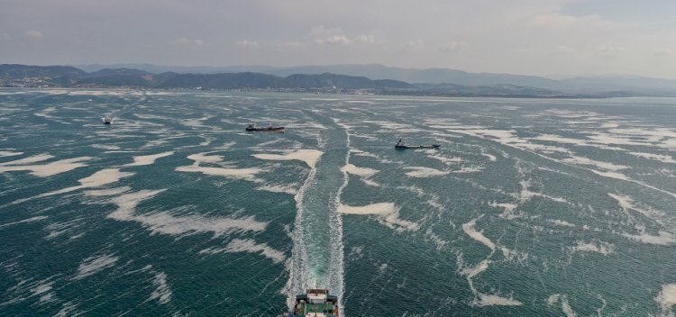 İstanbul Araştırmaları Enstitüsü'nden Müsilaj Paneli