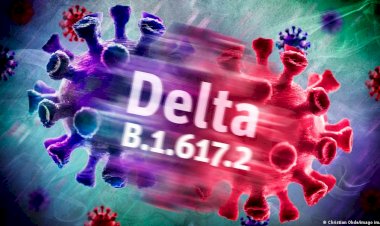 Delta varyantı hakkında ne biliniyor?